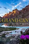 The Grand Canyon