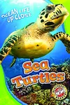 Sea Turtles