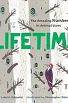 Lifetime