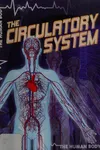The circulatory system