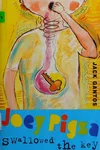 Joey Pigza swallowed the key