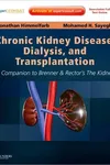 Chronic kidney disease, dialysis, and transplantation