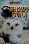Snowy owls