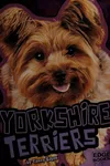 Yorkshire terriers