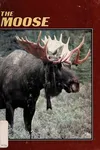 The moose