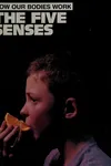 The five senses