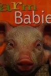 Farm babies