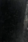 The Left Hand of God