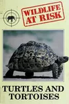 Turtles and tortoises