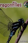 Dragonflies
