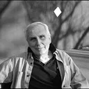 Stephen Koch