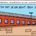 Jesse van Muylwijck
