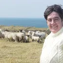 Pamela J. Reidy