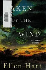 Capa de Taken by the wind