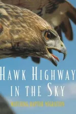 Cover of Hawk Highway in the Sky
