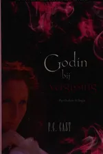 Capa de Godin bij vergissing