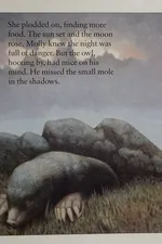 Capa de Molly in danger