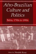 Capa de Afro-Brazilian culture and politics