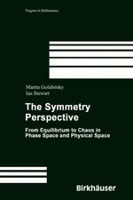 Capa de The Symmetry Perspective