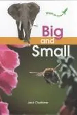 Capa de Big and small