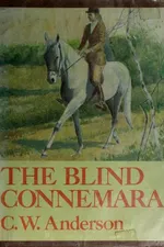 Cover of The blind Connemara