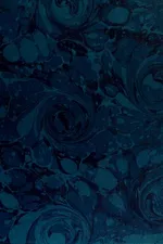 Capa de The wicked kings of Bloon