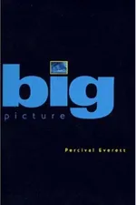 Cover of Big Picture
