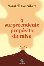 Cover of O Surpreendente Propósito Da Raiva