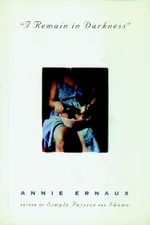 Cover of I Remain in Darkness