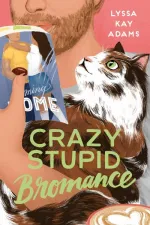 Cover of Crazy Stupid Bromance