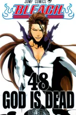 Cover of Bleach #48