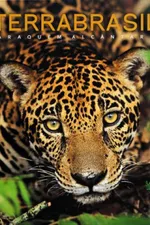 Cover of Terra Brasil