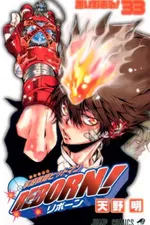 Cover of Katekyo Hitman REBORN! #33