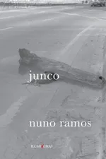 Cover of junco