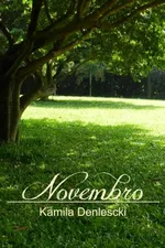 Cover of Novembro