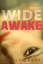 Cover of Wide Awake