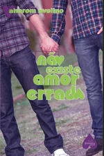Cover of Não Existe Amor Errado