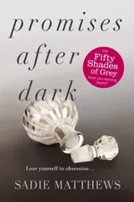 Cover of Promises After Dark
