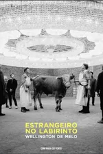 Cover of Estrangeiro no labirinto