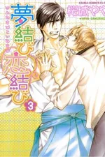 Cover of Yume Musubi, Koi Musubi #3