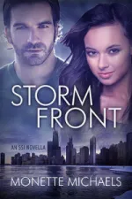 Cover of Storm Front