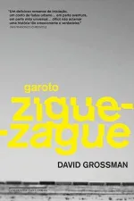 Cover of Garoto Zigue-Zague
