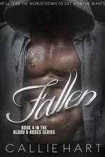 Cover of Fallen