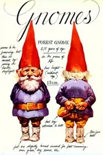 Cover of Gnomos