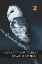 Cover of Vidas Transitórias