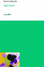 Cover of Não falei