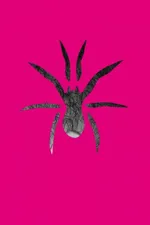 Cover of Tudo que Ama e Rasteja