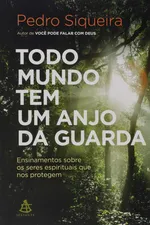 Cover of Todo mundo tem um anjo da guarda