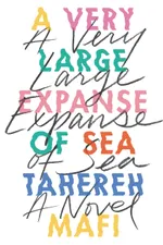 Cover of A Very Large Expanse of Sea