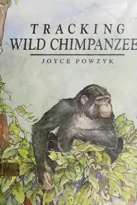 Tracking wild chimpanzees in Kibira National Park